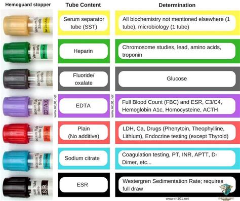 dark and light bottle tests|COLOR CODES OF VACUTAINER TUBES & ITS .